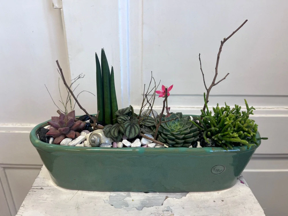 Zelený minimalismus s nádechem růžové 🌿🌸