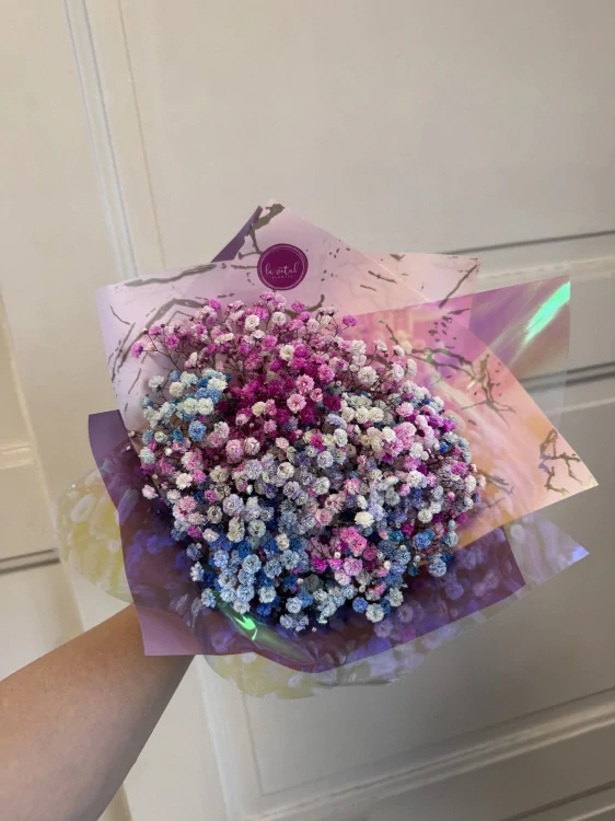 Pastelová gypsophila – Mini
