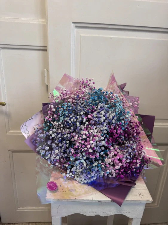 Pastelová gypsophila – Maxi