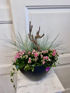 Aranžmá kalanchoe- Natural Balance