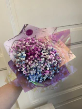 Pastelová gypsophila – Mini