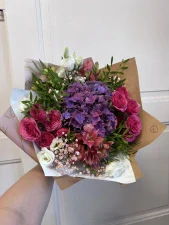 Hortensie - Berry Bloom