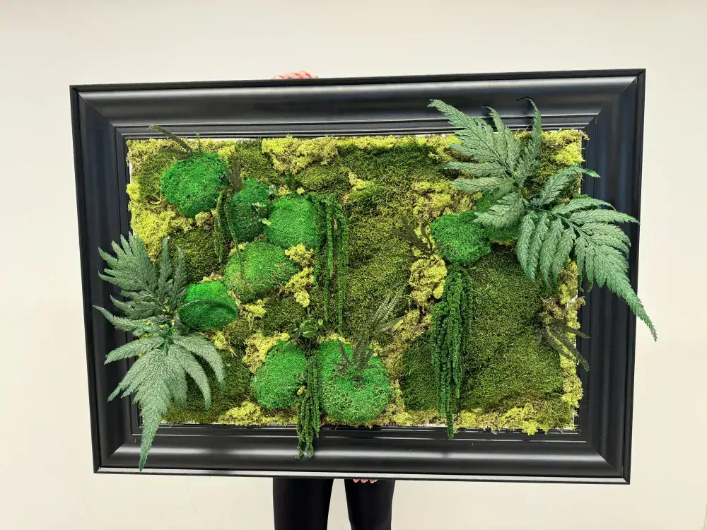 Mechový obraz s rostlinami - černý rám 