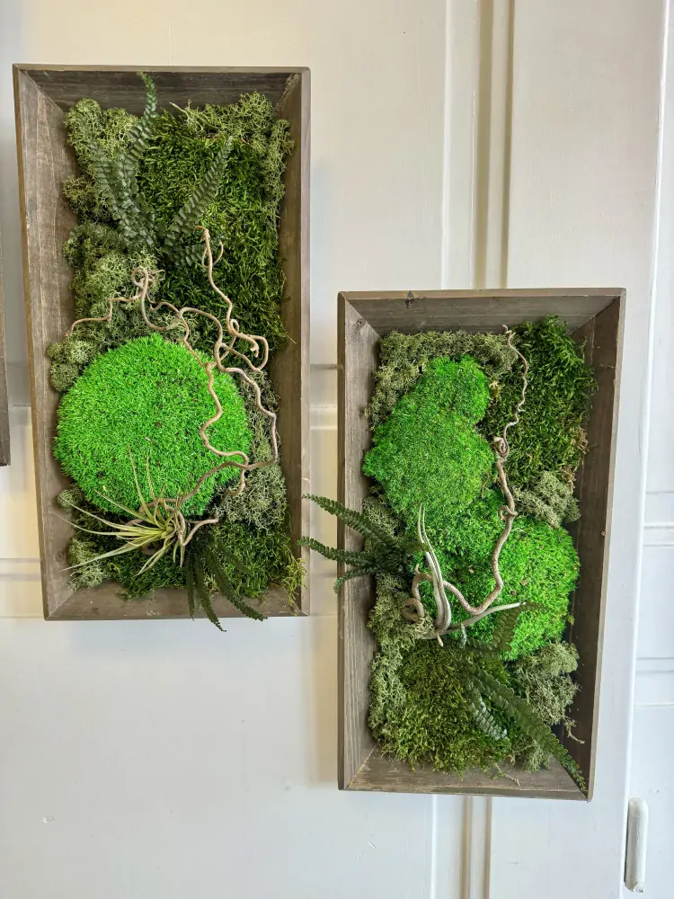 Mechový obraz -kolekce 3ks 