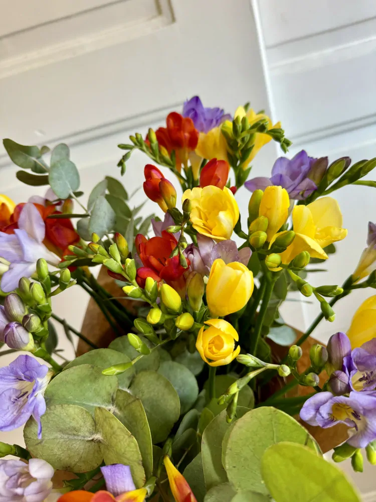 Kytice 30ks frésií