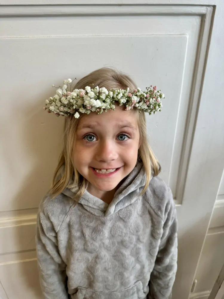 Věneček gypsofila dětský