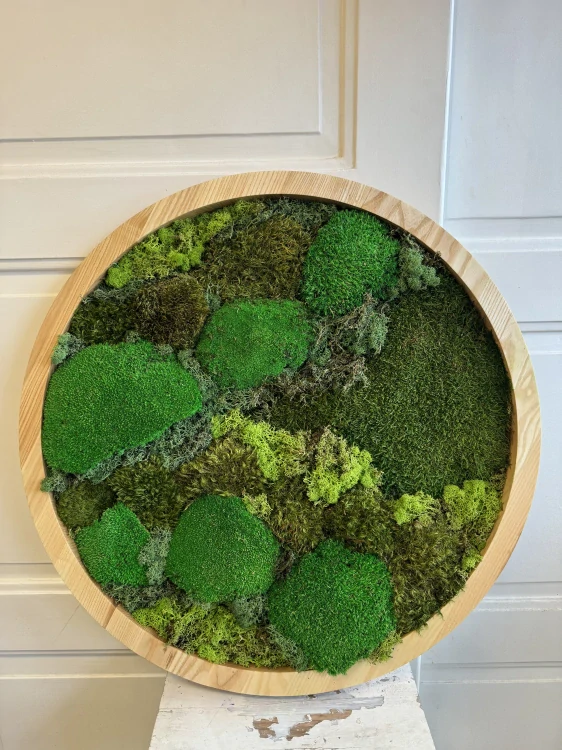 Mechový obraz Dubínek