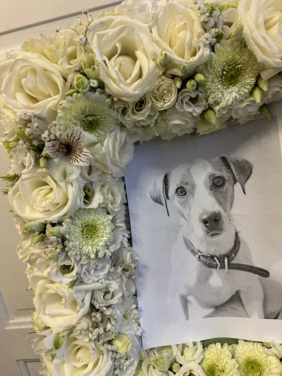 Smuteční aranžmá - rám