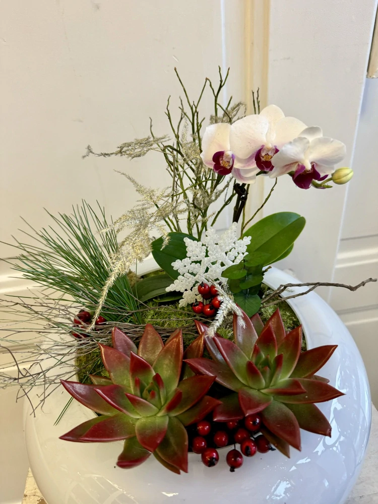 Zimní dekorace s orchidejí v nádobě 