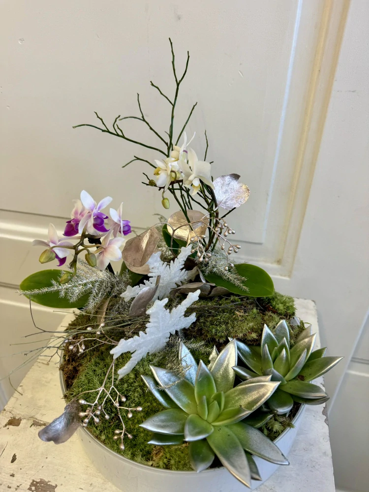 Zimní dekorace s orchidejí v nádobě  2