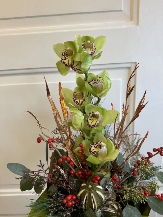 Zimní Cymbidium do vázy 