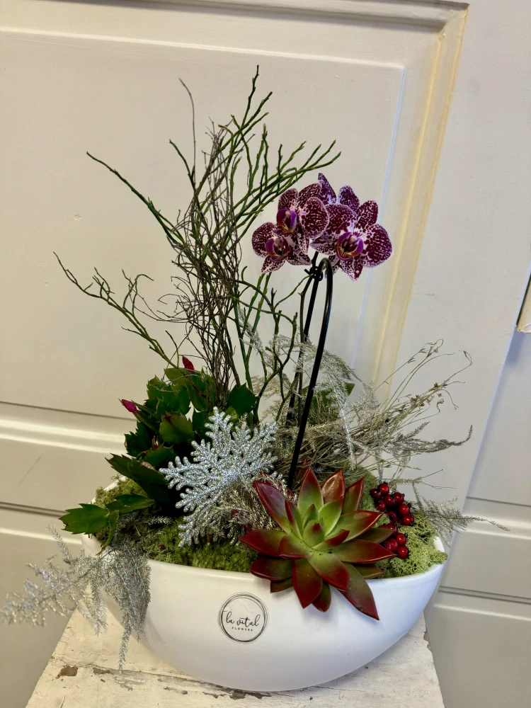 Zimní dekorace s orchidejí v nádobě  4