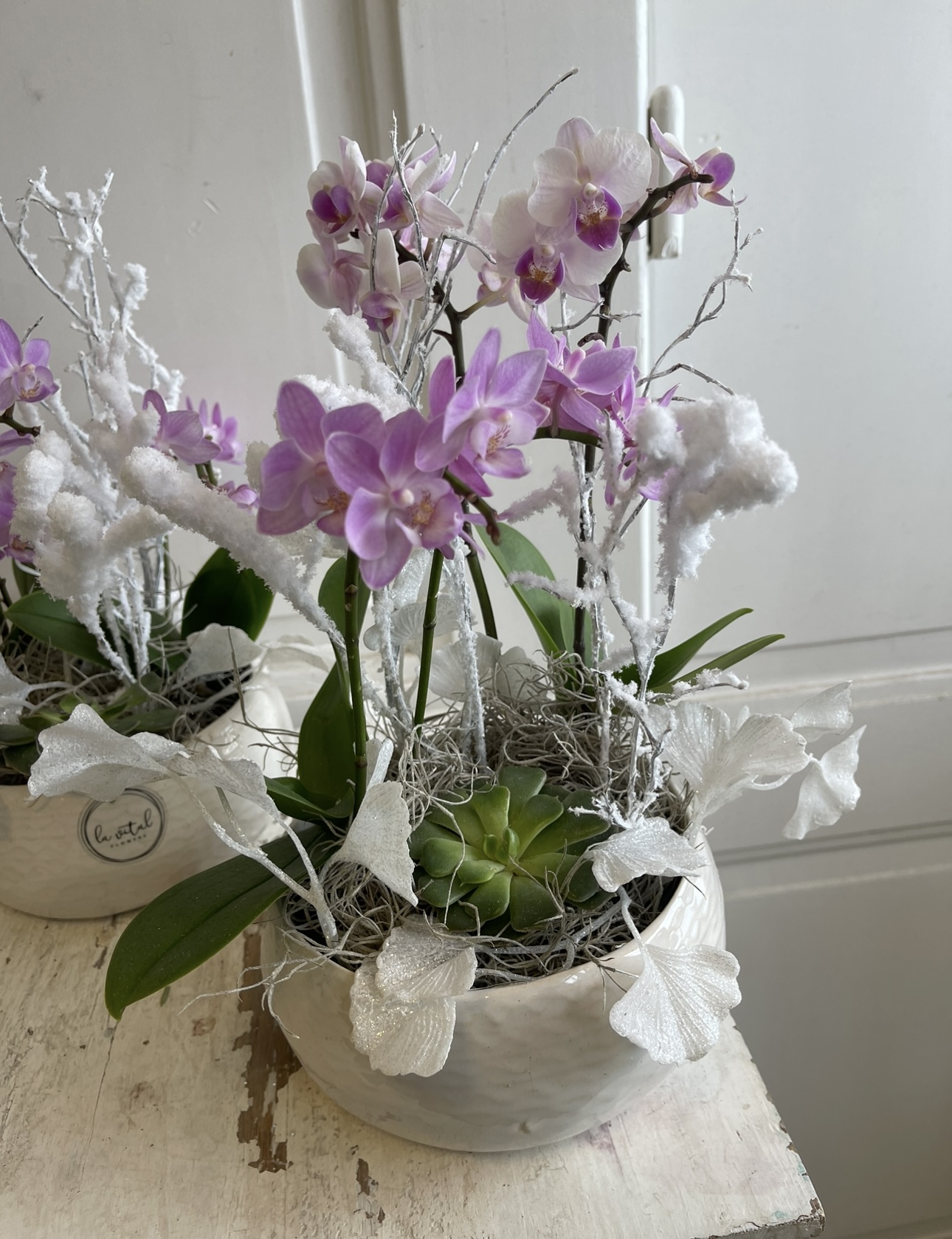 Zimní dekorace s orchidejí v kulaté nádobě