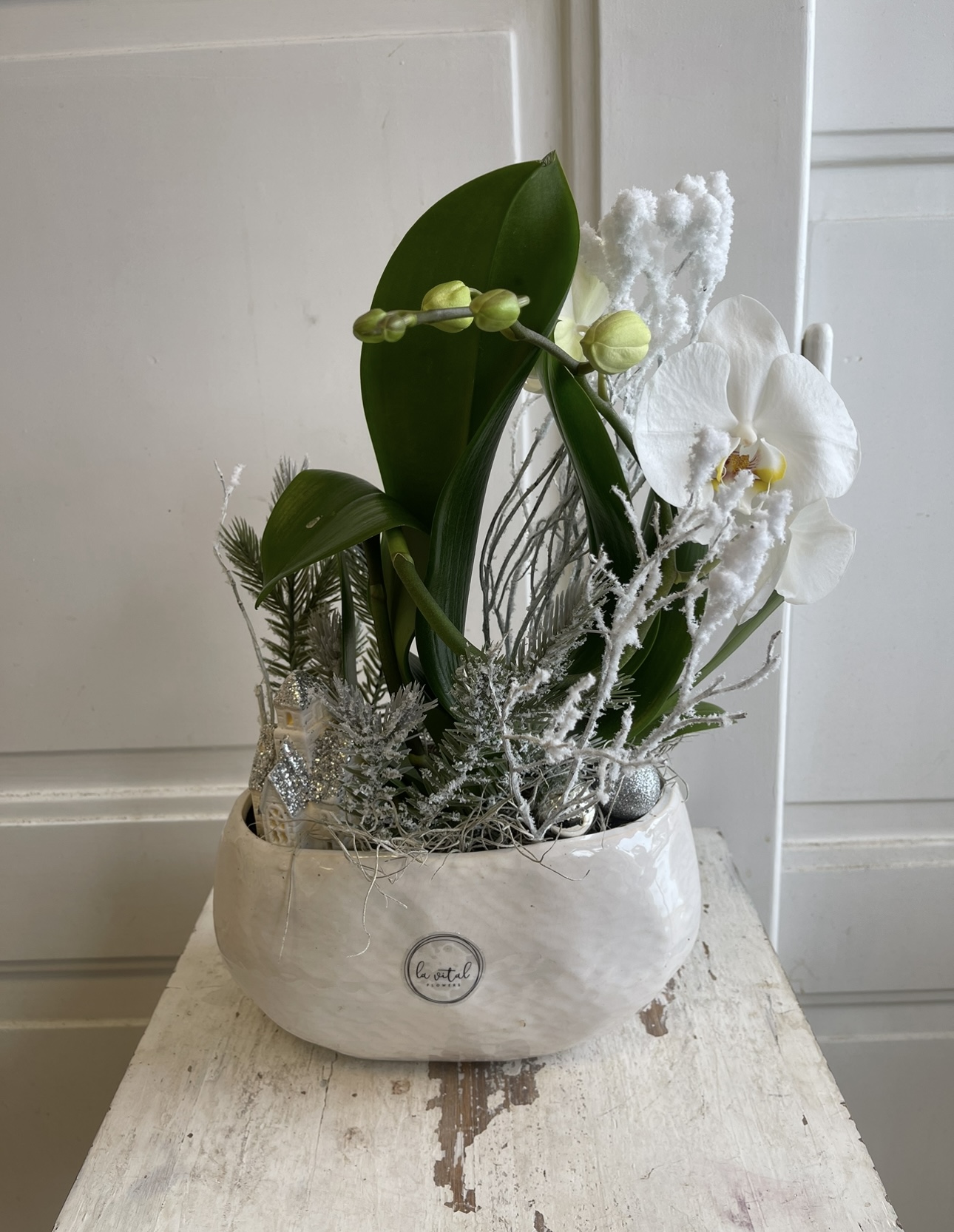 Zimní dekorace s orchidejí v  podlouhlé nádobě