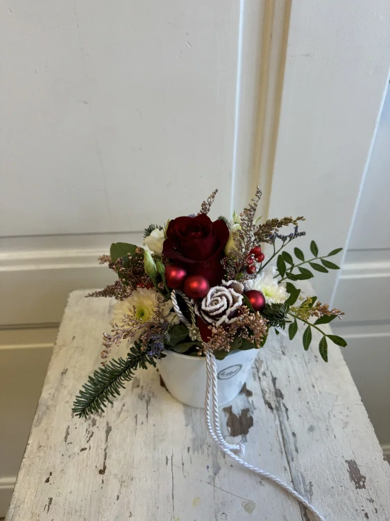 Květináček zimní 