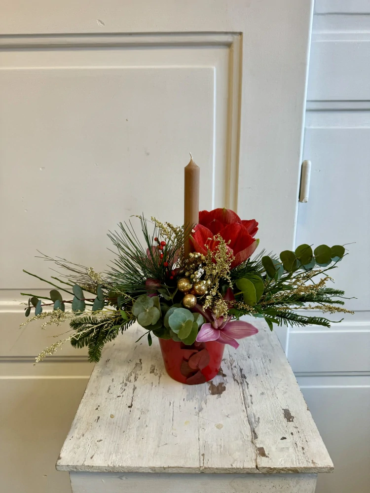 Květináček zimní červený  amarylis 