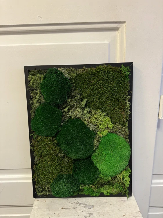 Mechový obraz Bakula