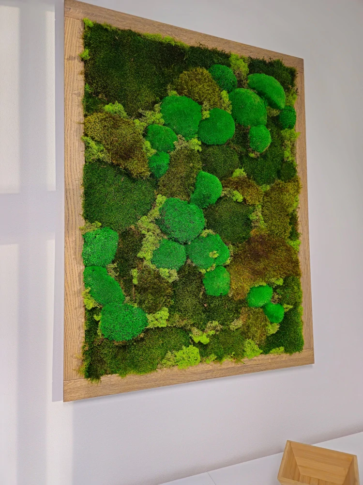 Mechový obraz Dub  123x93cm