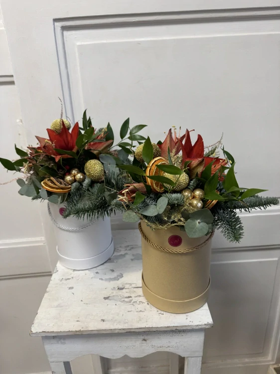 Flower box amarylis 