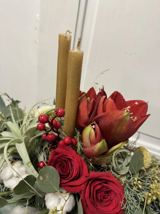 Sváteční dekorace Amarylis Tillandsie 