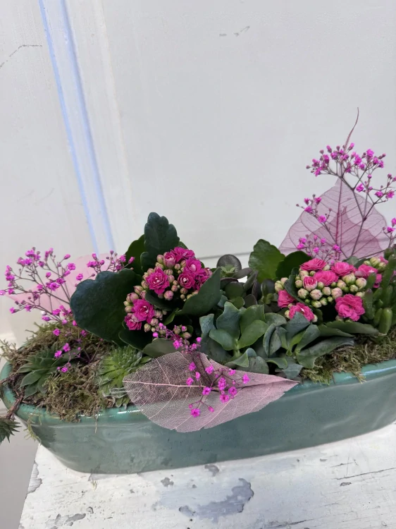 Sesazovaná nádoba sukulenty a kalanchoe