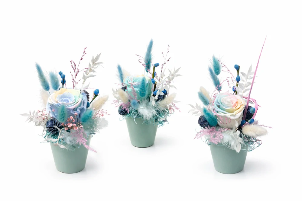 Modrá pastelová elegance - stabilizovaná růže 