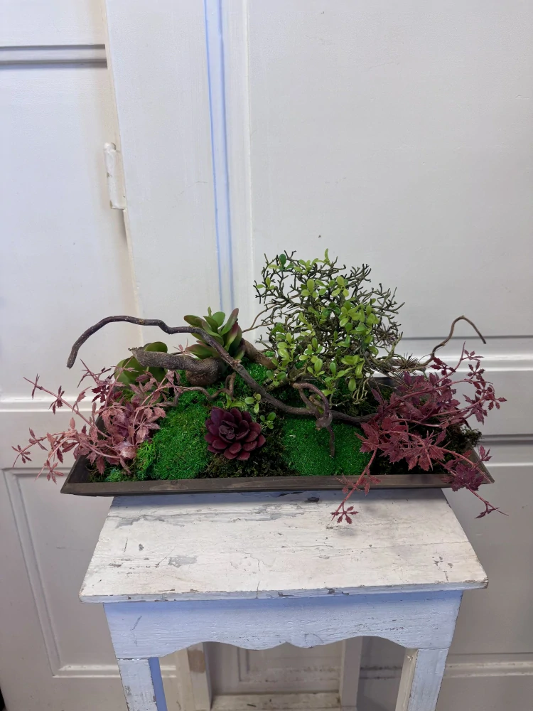 Botanická elegance