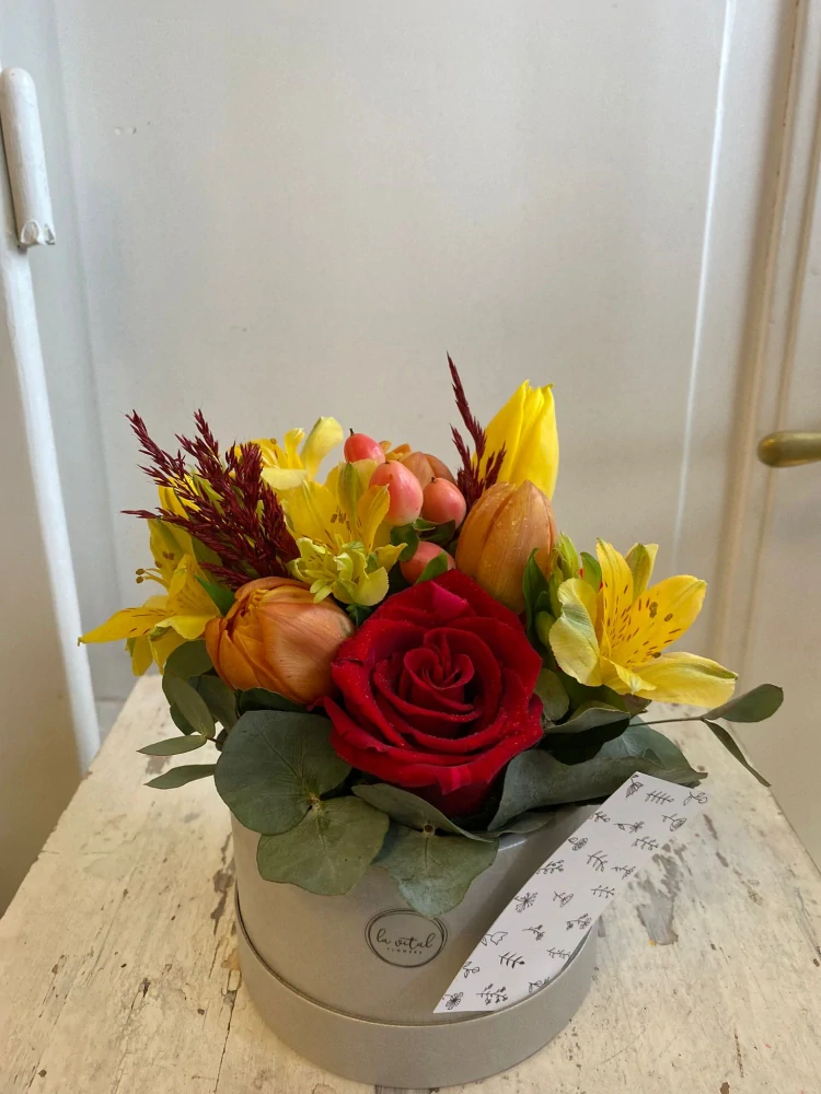 Flower box - novinka mini jaro