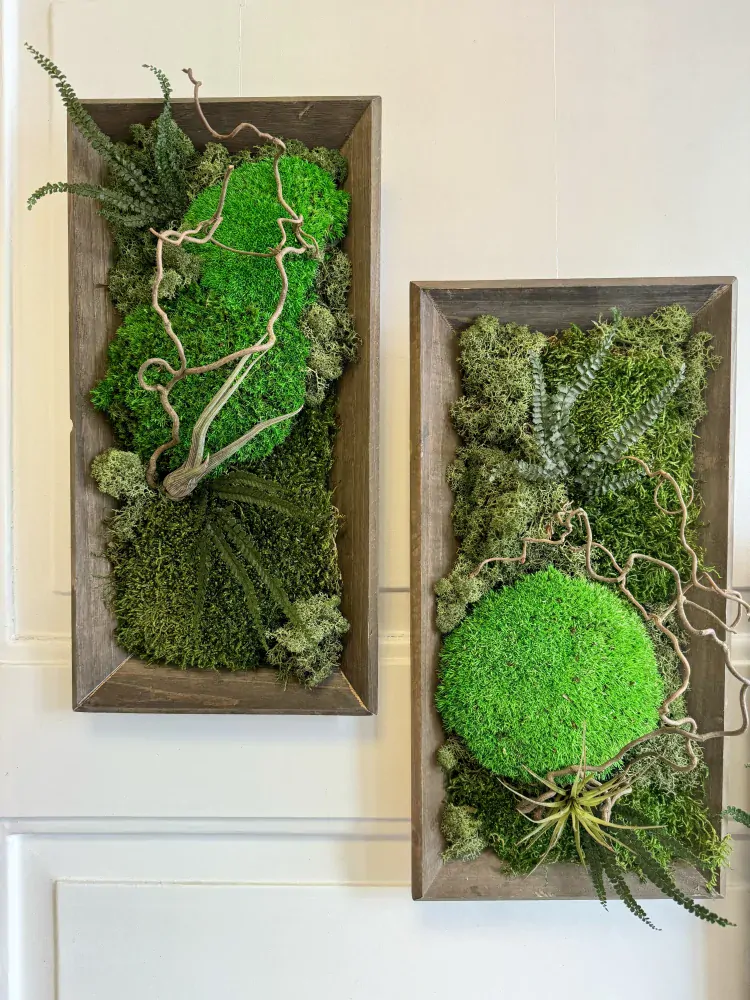 Mechový obraz -kolekce 3ks 