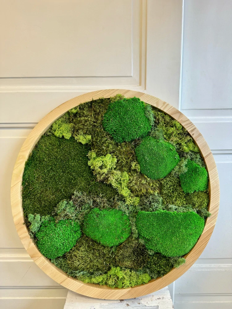 Mechový obraz Dubínek