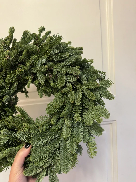 Jedlový věnec přírodní z nobilisky