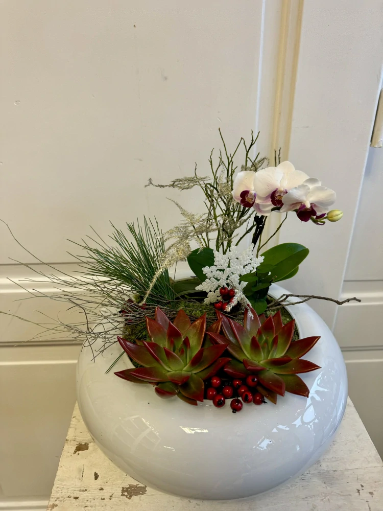 Zimní dekorace s orchidejí v nádobě 