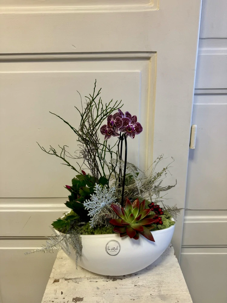 Zimní dekorace s orchidejí v nádobě  4