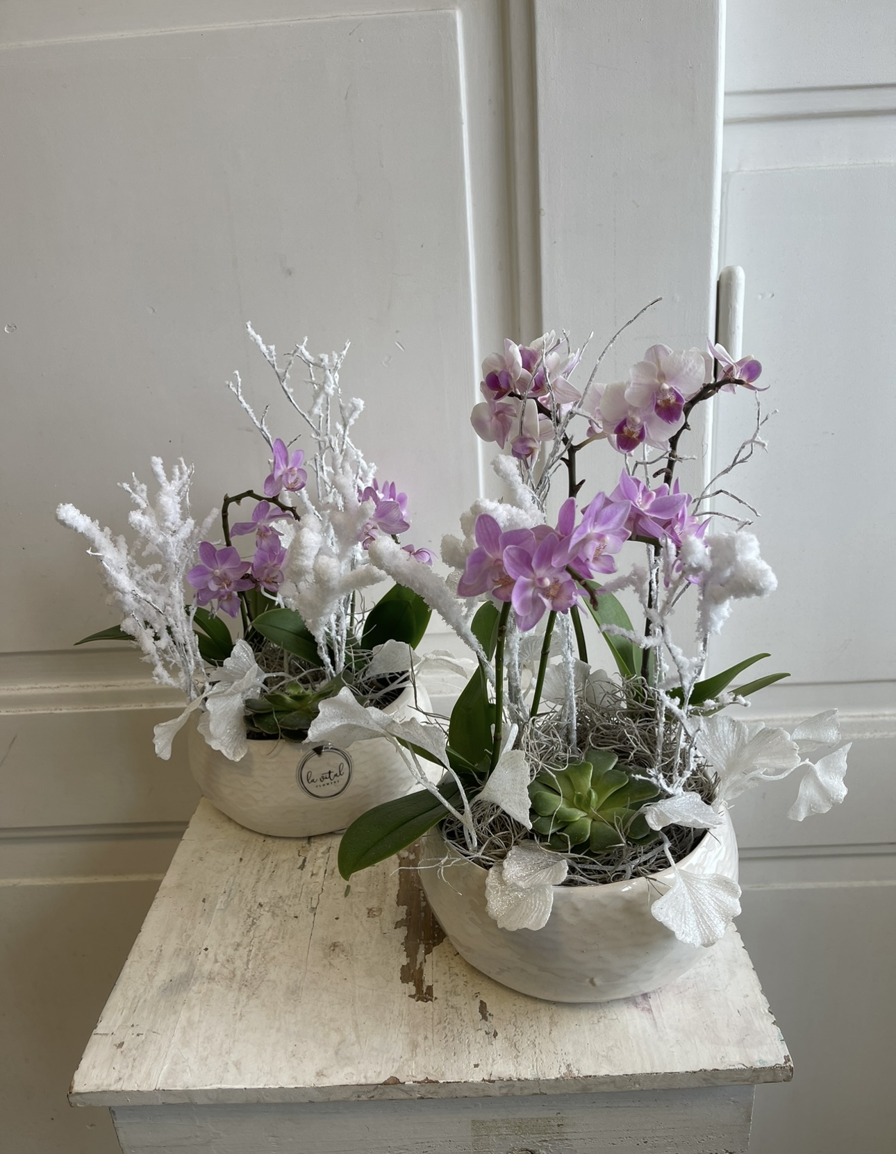 Zimní dekorace s orchidejí v kulaté nádobě