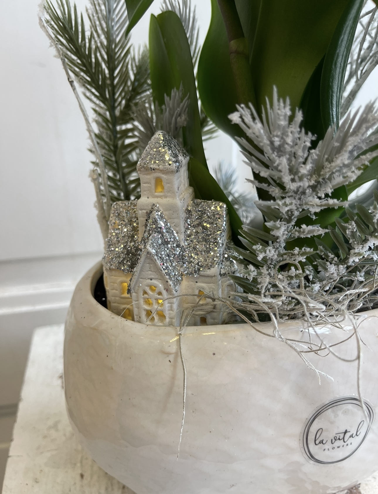 Zimní dekorace s orchidejí v  podlouhlé nádobě