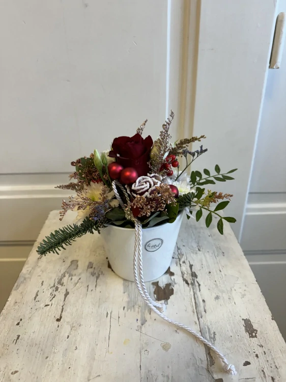 Květináček zimní 