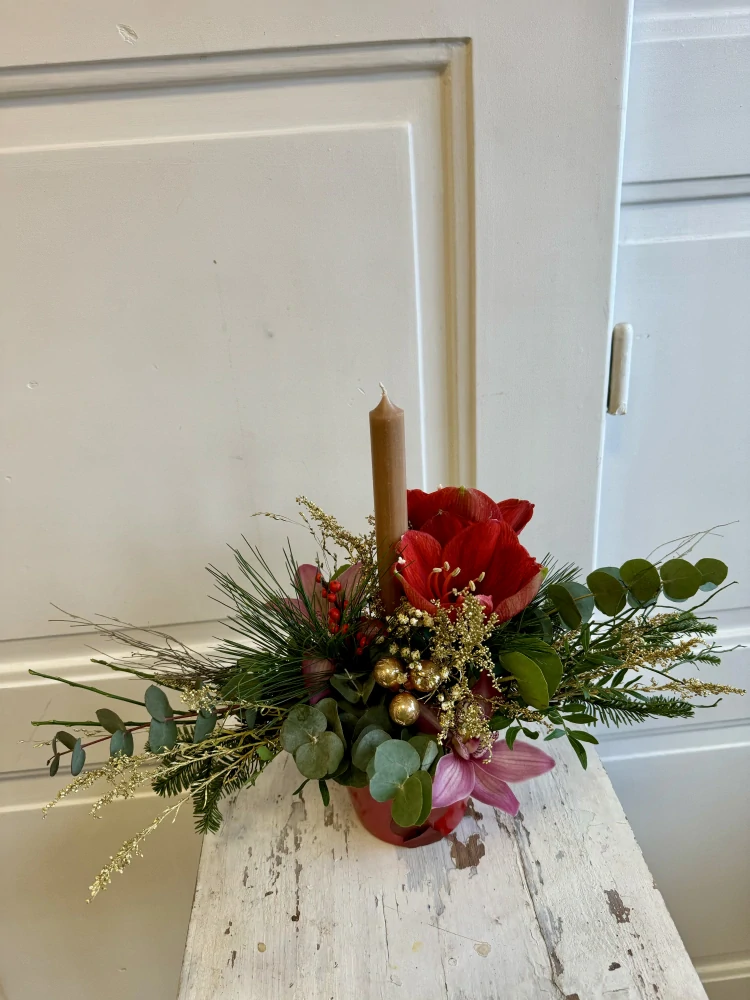 Květináček zimní červený  amarylis 