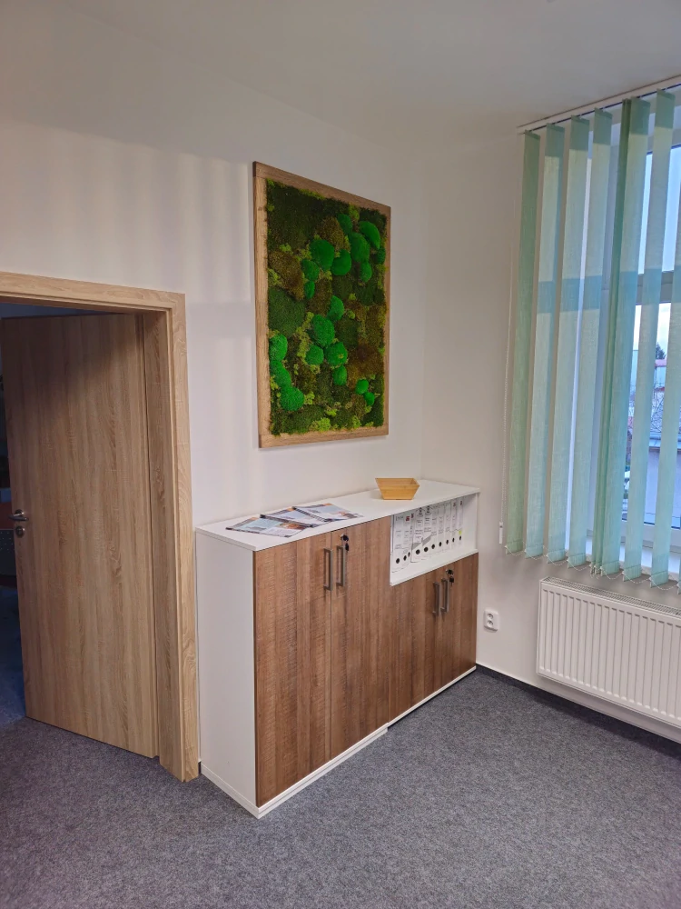 Mechový obraz Dub  123x93cm