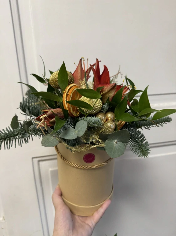 Flower box amarylis 