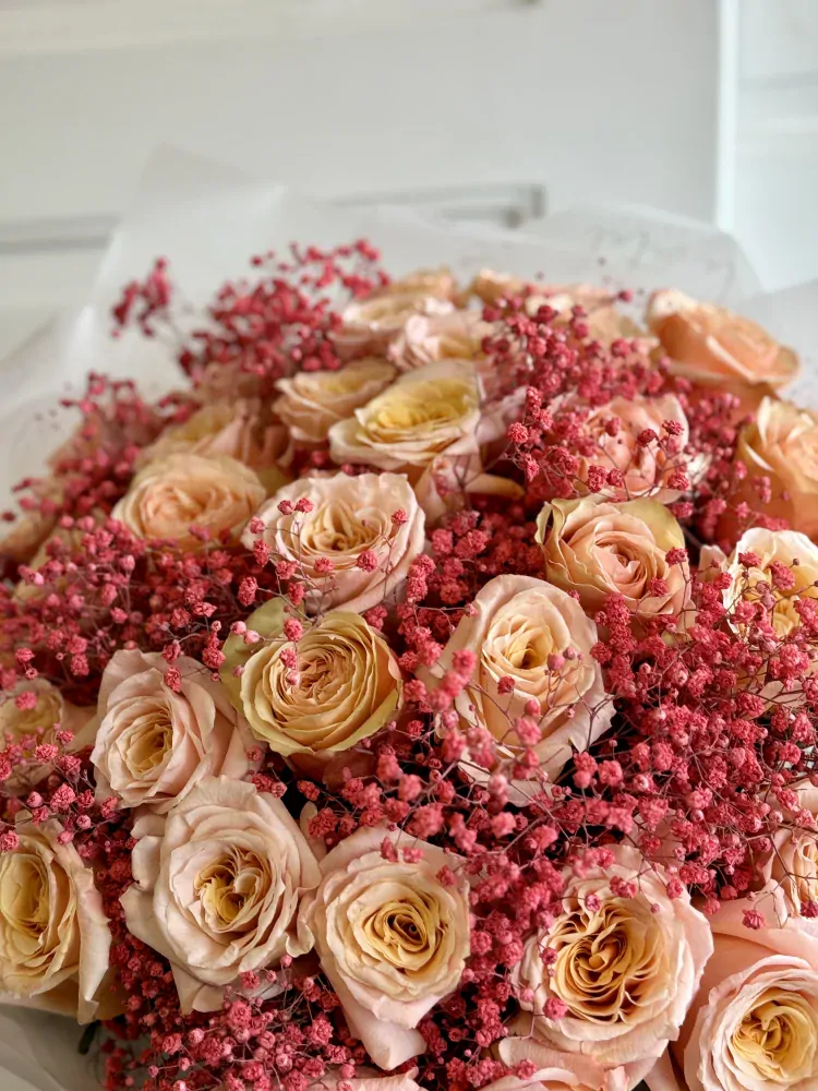 35 krásných pastelových velkokvětých růží 