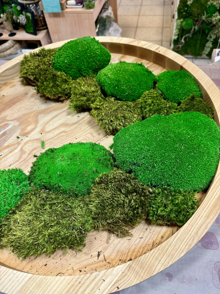 Mechový obraz Dubínek