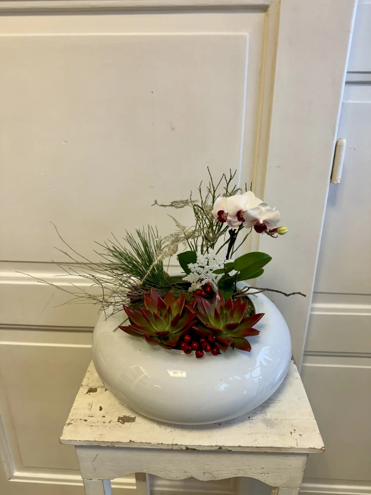 Zimní dekorace s orchidejí v nádobě 