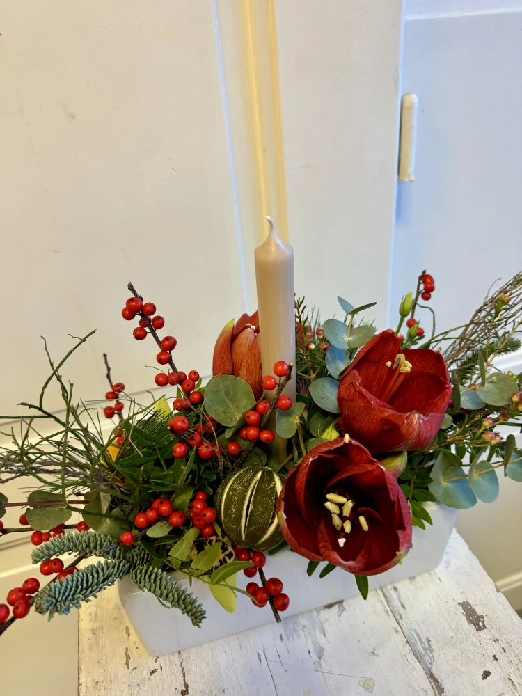 Aranžmá zimní červený amarylis 