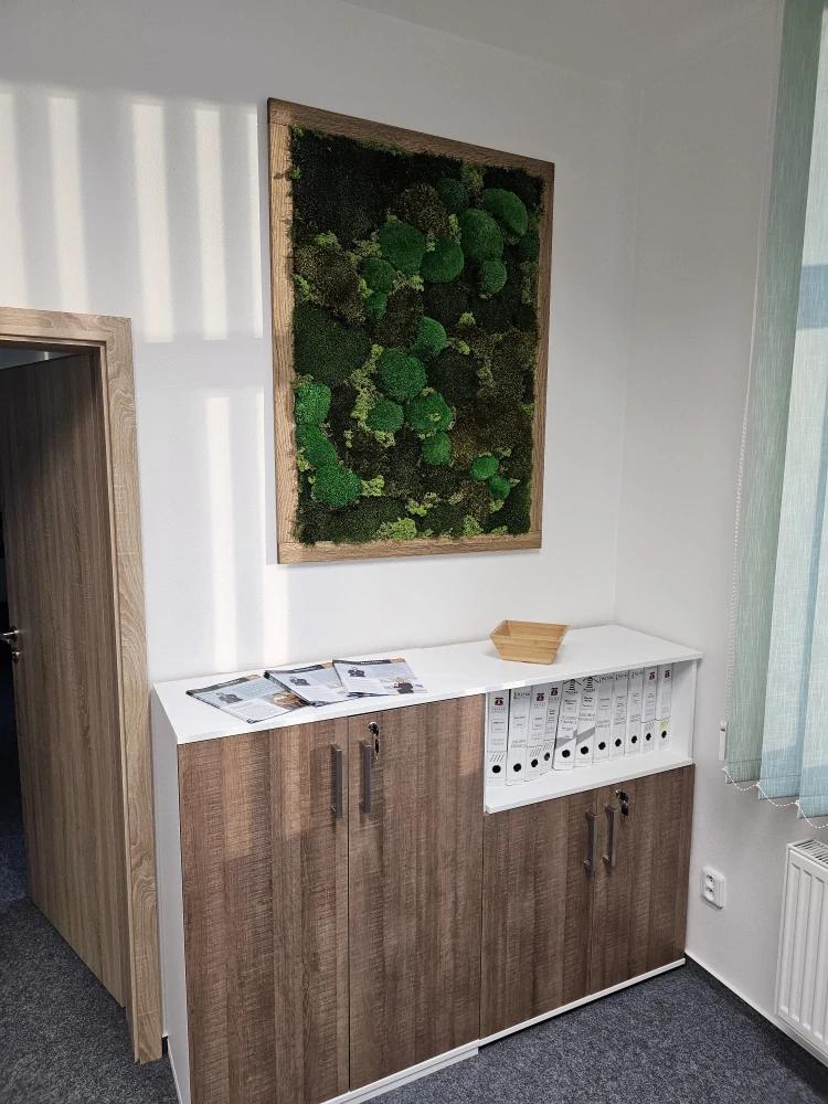 Mechový obraz Dub  123x93cm