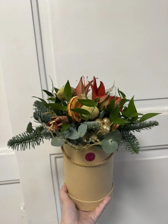 Flower box amarylis 