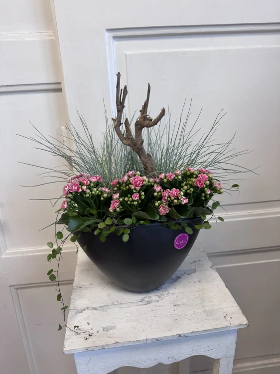 Aranžmá kalanchoe- Natural Balance