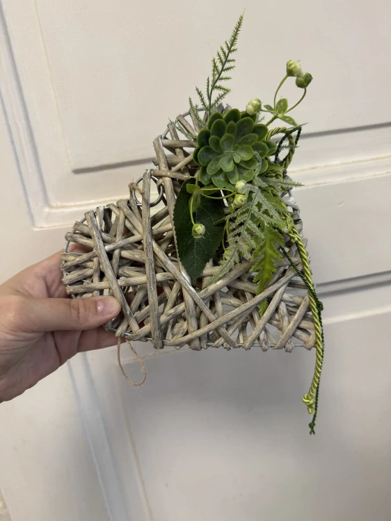 Srdce sukulent 20cm