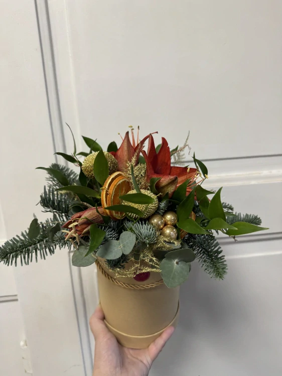 Flower box amarylis 