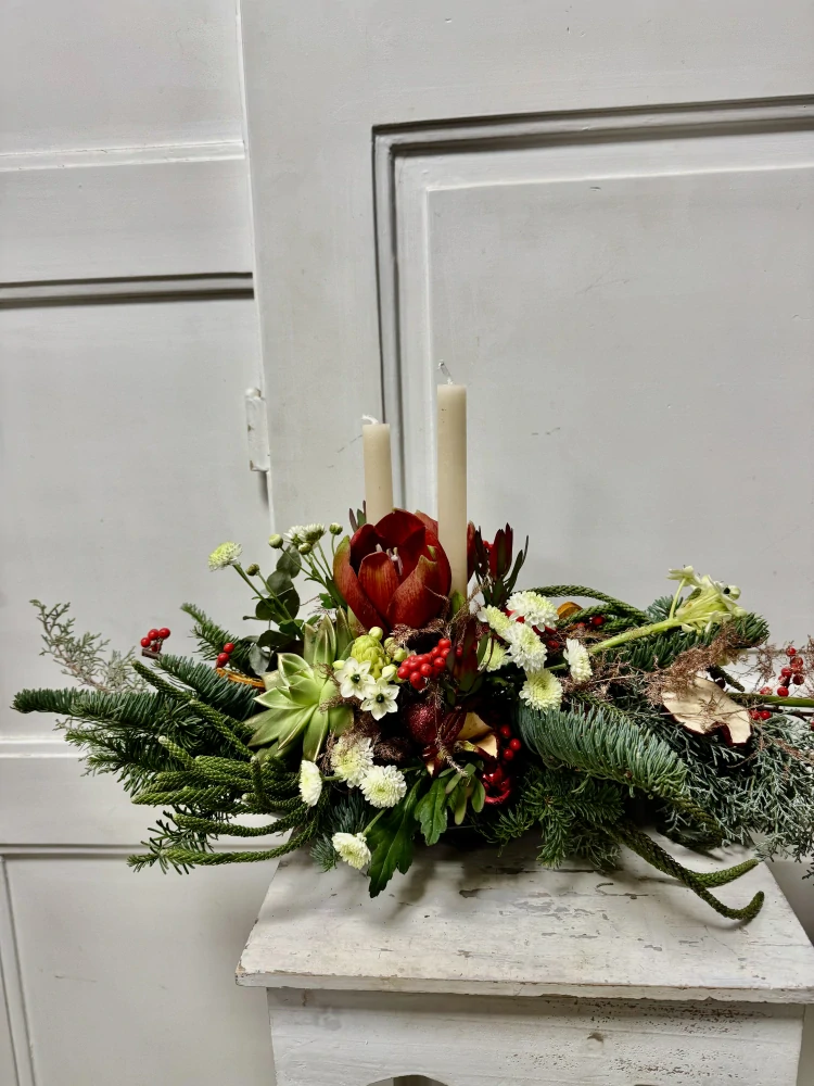 Sváteční dekorace Amarylis Tillandsie 