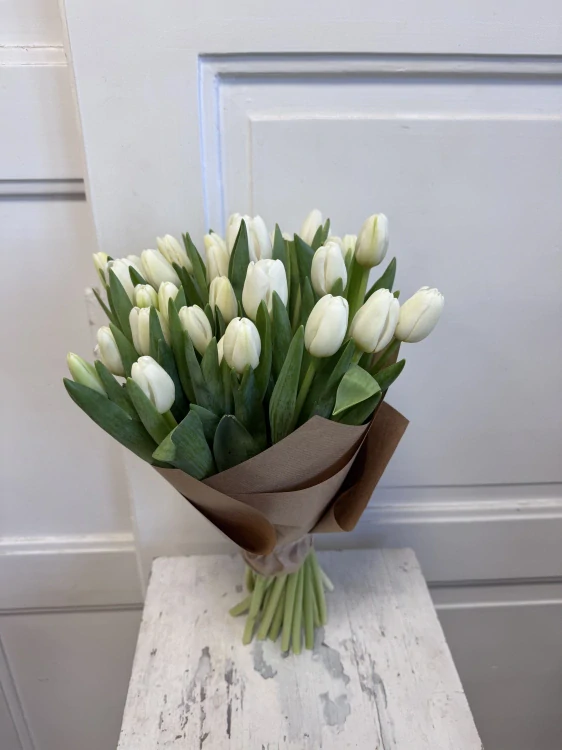 Bílá Něžnost Tulips 